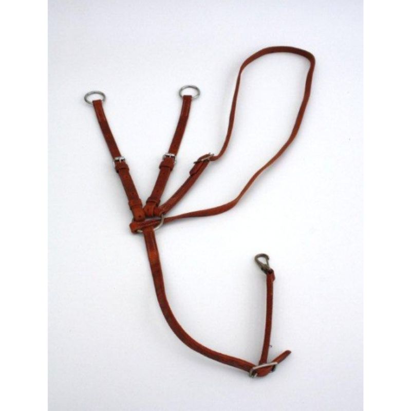 Running Martingal - Harness