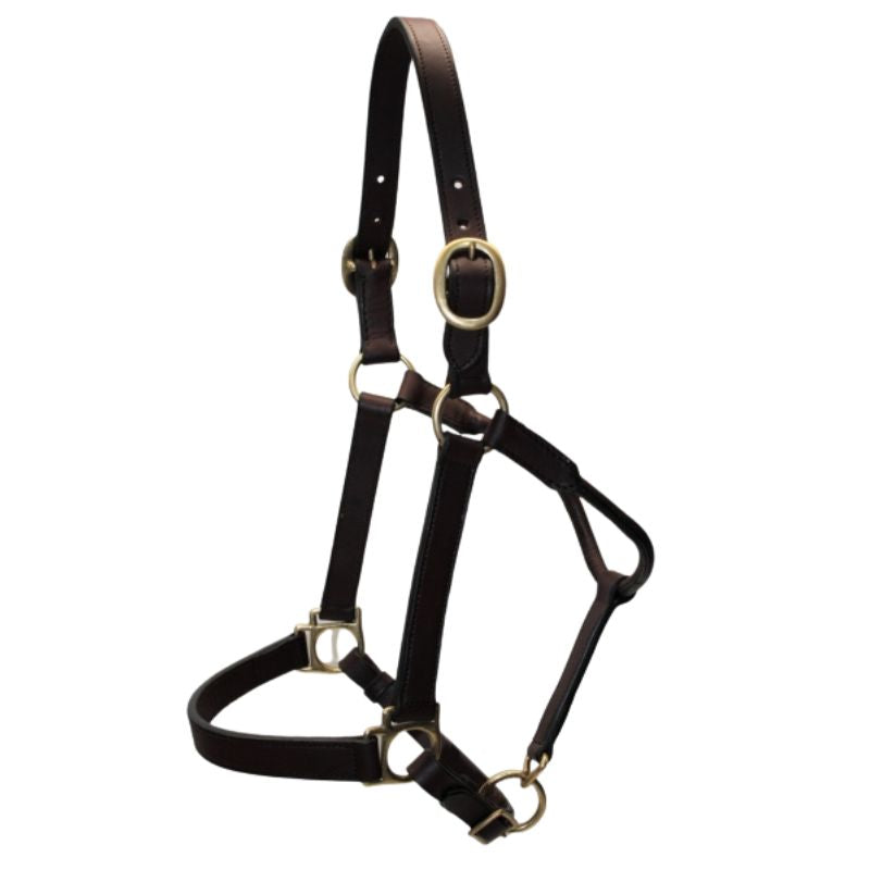 EE Tack Premium Leder Halfter - Soft / Oily - COB Size