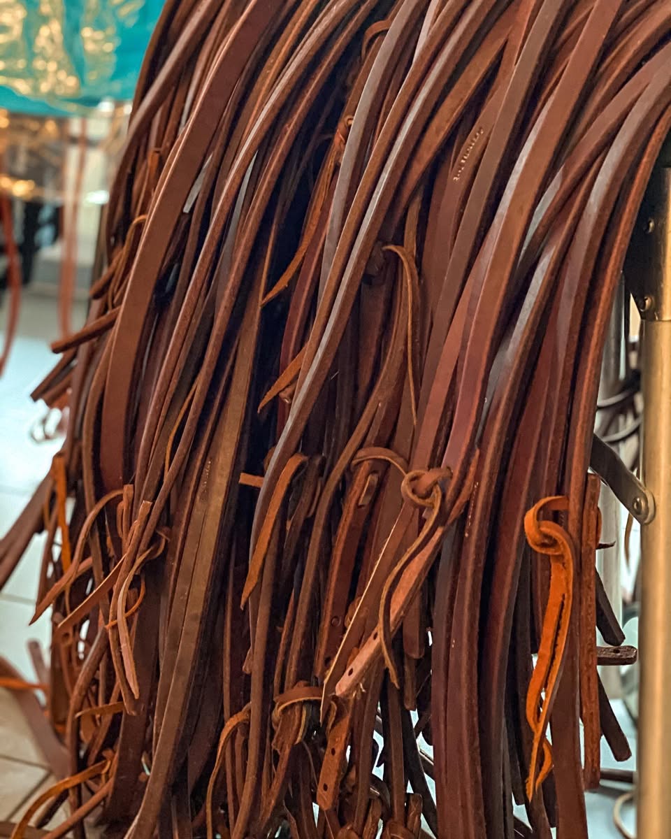 Zügel & Romal Reins