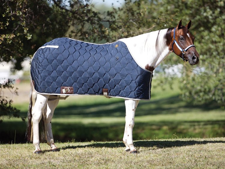 Big D Pferdedecken