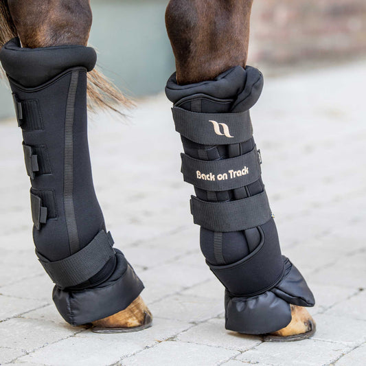 Back on Track Royal Stallgamaschen Deluxe Paar Beinschutz