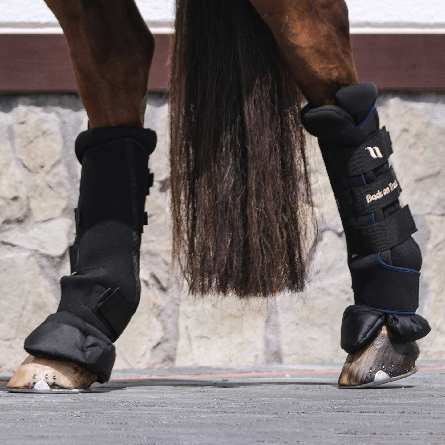 Back on Track Royal Stallgamaschen Deluxe Paar Beinschutz
