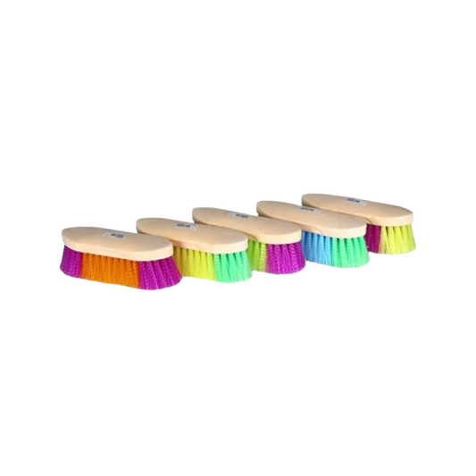 Putzbürste - RAINBOW - 21cm - Lieferung gemischt je nach Verfügbarkeit