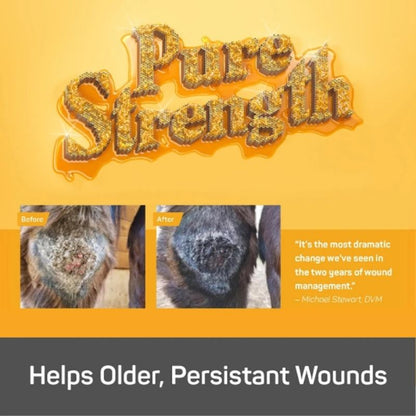ABSORBINE - "Silver Honey" Rapid Wound Repair Spray Gel - 236ml