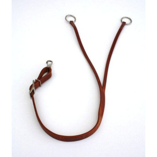 Trainings Fork - Harness