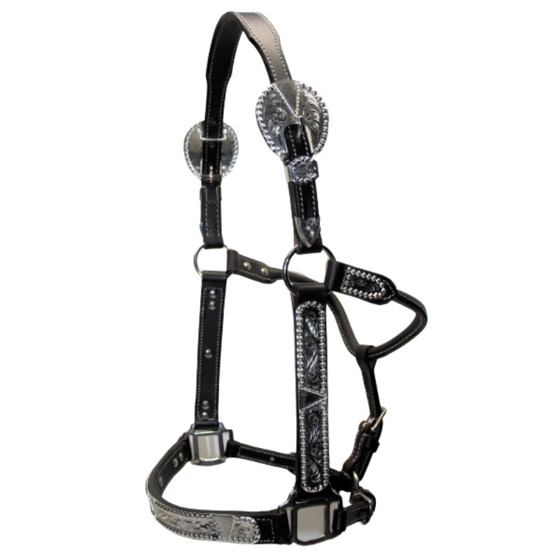 EE Tack Premium Show Halfter - SILBER - mit Führleine - DUNKELBRAUN - COB Size
