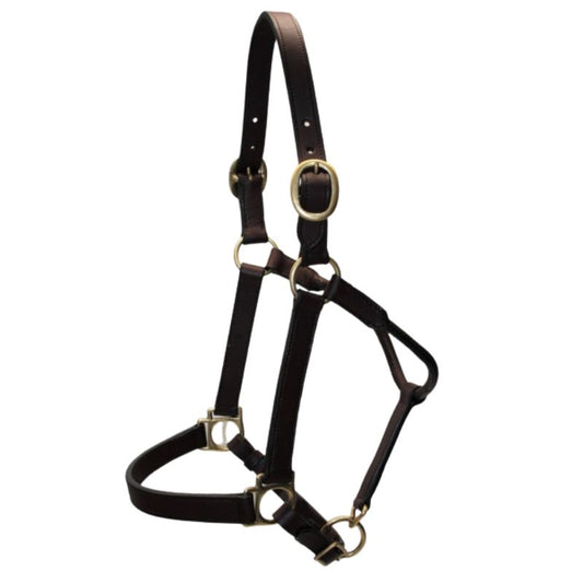 EE Tack Premium Leder Halfter - Soft / Oily - COB Size