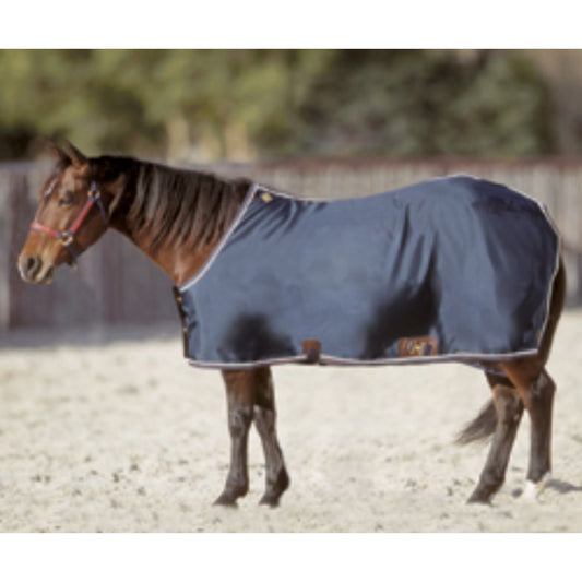 BIG D STABLE SHEET